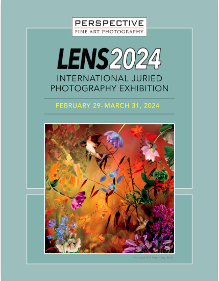 Book Store — Perspective Gallery